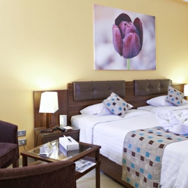 Rihana_Resort_Standard_Room_04