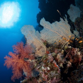 Colors_red_sea_gouna