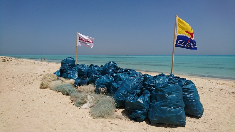 earth week gouna red sea