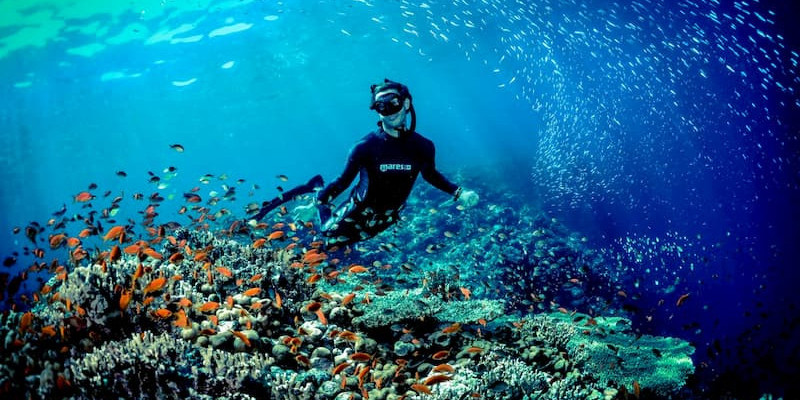 The Complete Guide to Diving and Kitesurfing in El Gouna