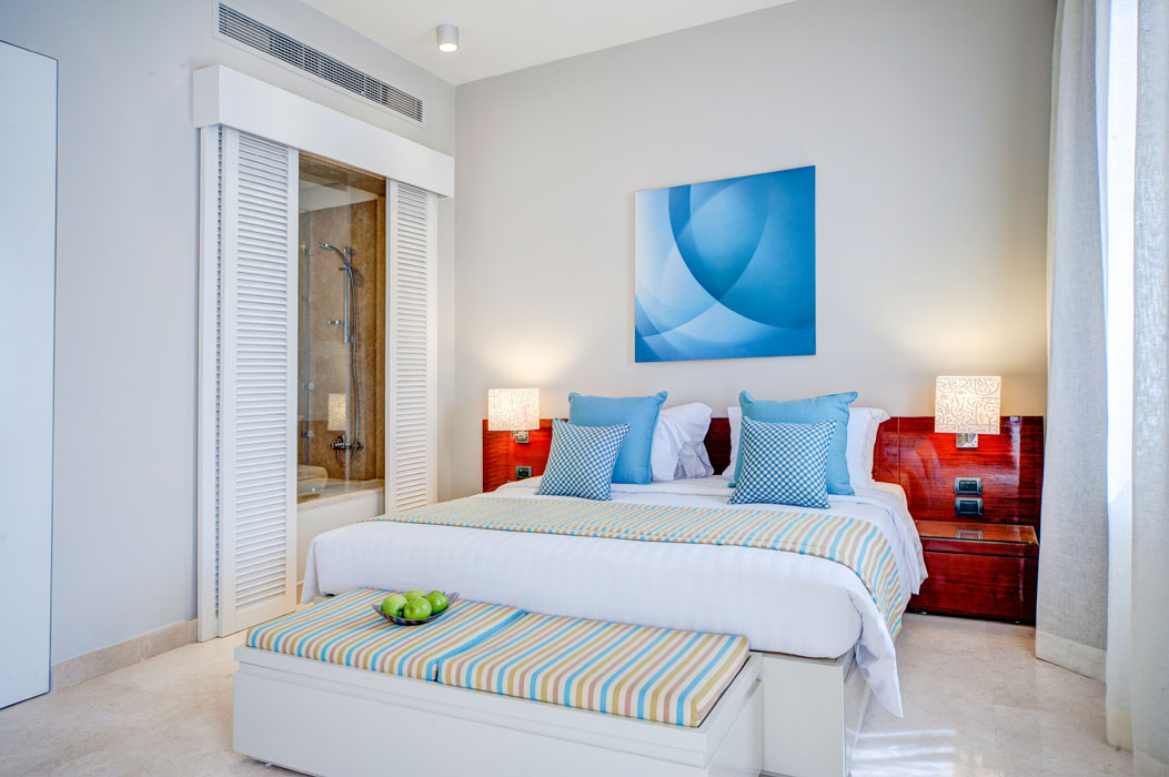 One Bedroom Apartment