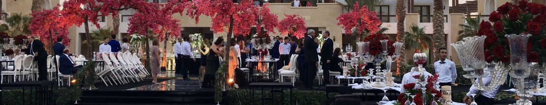 Book your Wedding Now