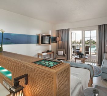 Deluxe Lagoon View Rooms