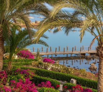 Ali Baba Oriental Corner